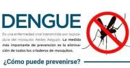 La Provincia inició la campaña de vacunación contra el dengue